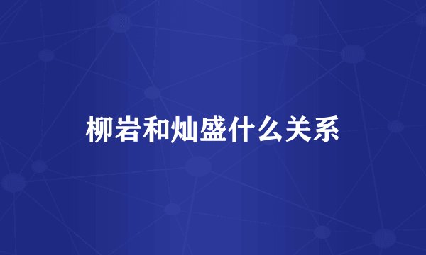 柳岩和灿盛什么关系
