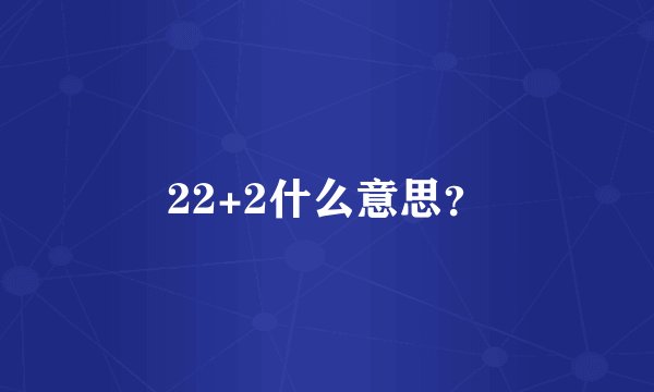 22+2什么意思？