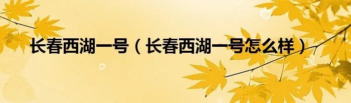长春西湖一号（长春西湖一号怎么样）