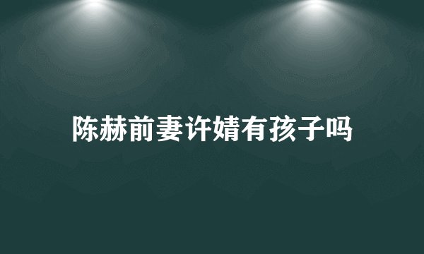 陈赫前妻许婧有孩子吗