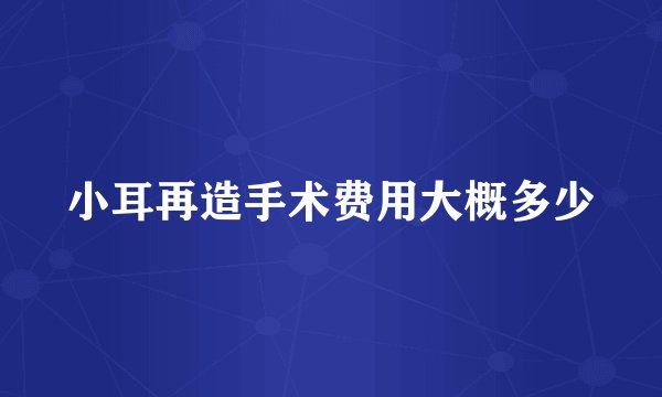 小耳再造手术费用大概多少