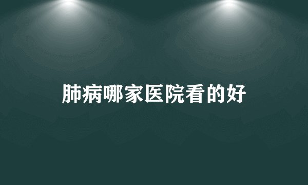 肺病哪家医院看的好
