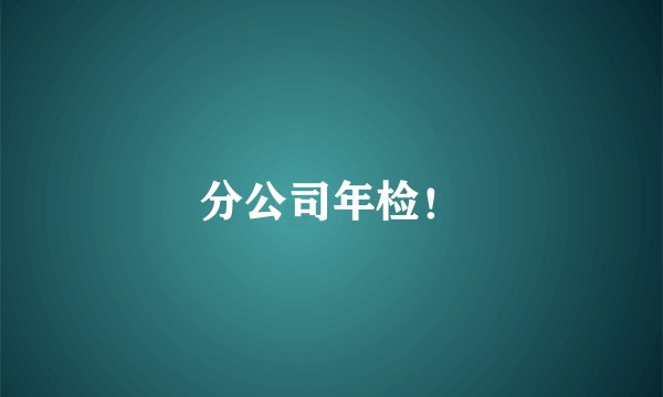 分公司年检！