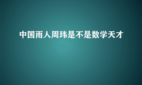 中国雨人周玮是不是数学天才