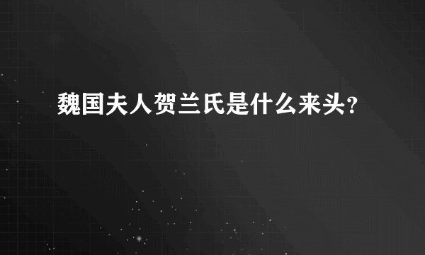 魏国夫人贺兰氏是什么来头？
