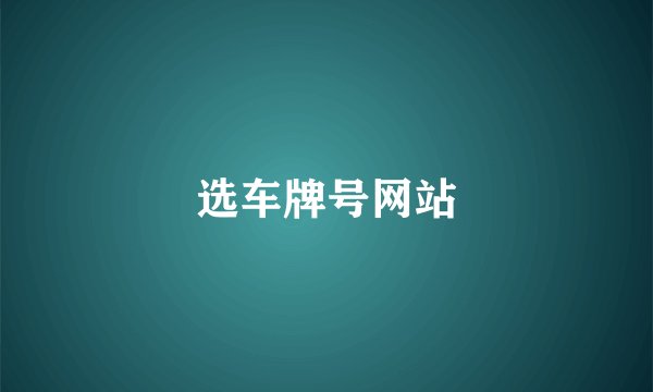 选车牌号网站