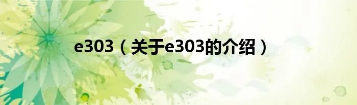 e303(关于e303的介绍)