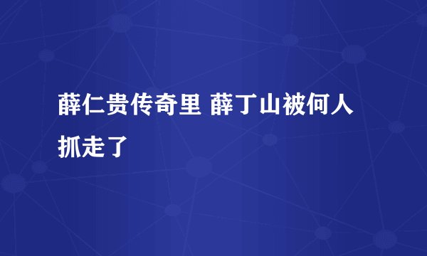 薛仁贵传奇里 薛丁山被何人抓走了