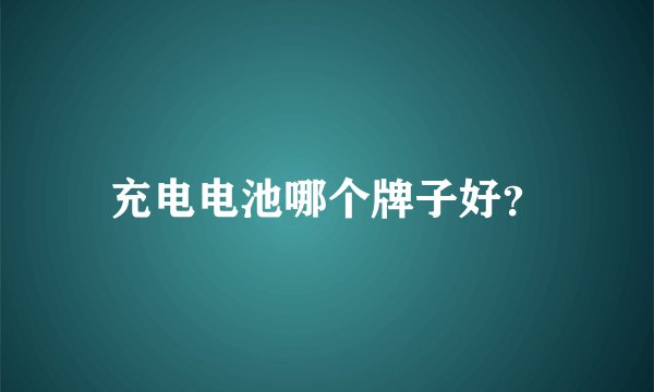 充电电池哪个牌子好？