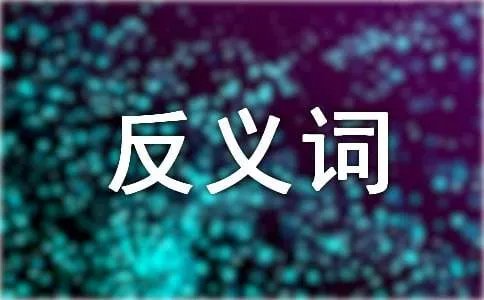 迷惑不解的反义词