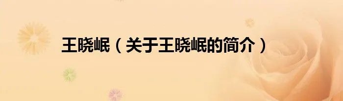 王晓岷（关于王晓岷的简介）