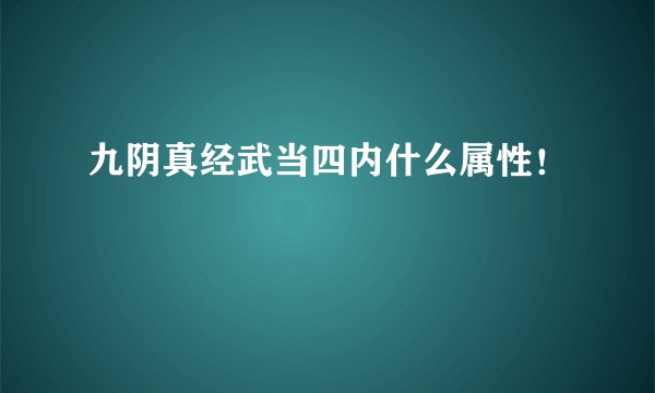 九阴真经武当四内什么属性！
