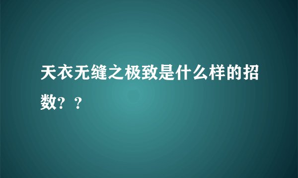 天衣无缝之极致是什么样的招数？？