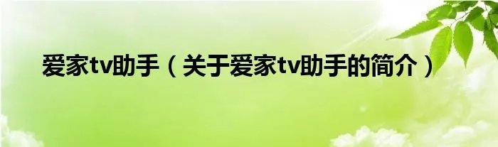 爱家tv助手（关于爱家tv助手的简介）