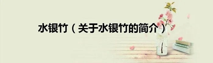 水银竹（关于水银竹的简介）