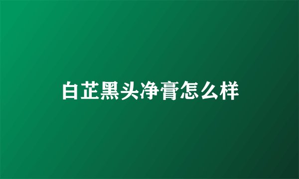 白芷黑头净膏怎么样