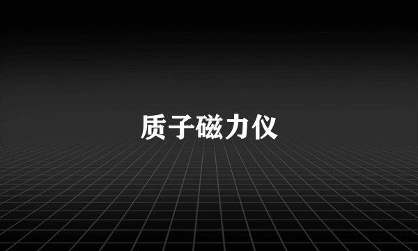 质子磁力仪