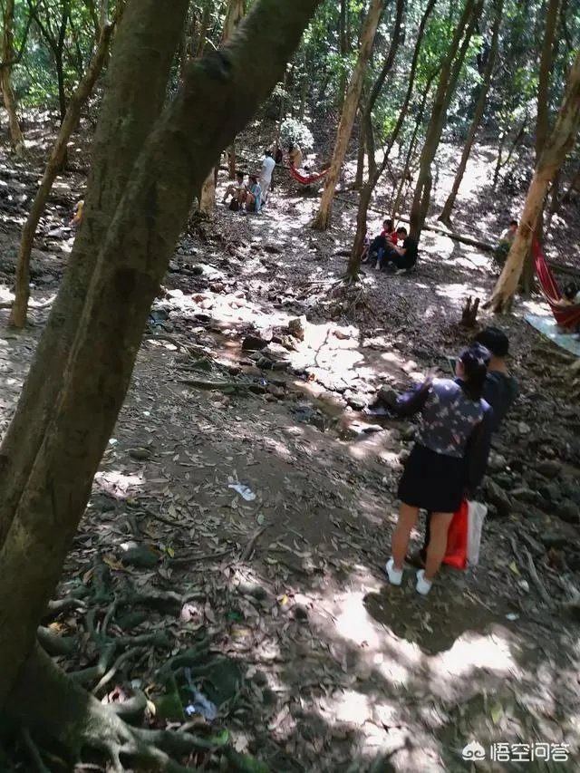 深圳凤凰山好玩吗?