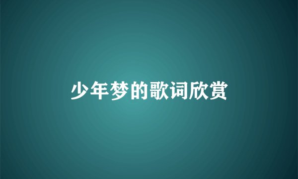 少年梦的歌词欣赏