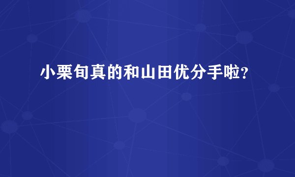 小栗旬真的和山田优分手啦？