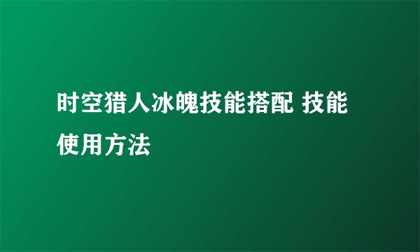 时空猎人冰魄技能搭配 技能使用方法