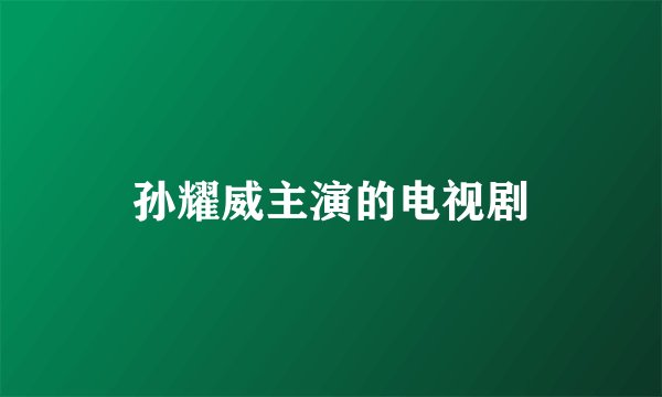 孙耀威主演的电视剧