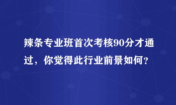辣条专业班首次考核90分才通过，你觉得此行业前景如何？