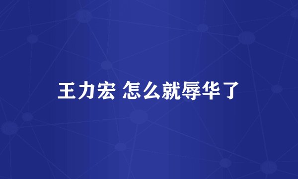 王力宏 怎么就辱华了