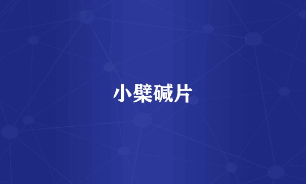 小檗碱片
