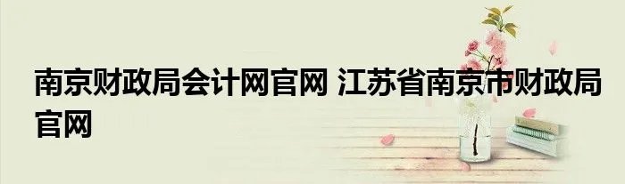 南京财政局会计网官网 江苏省南京市财政局官网