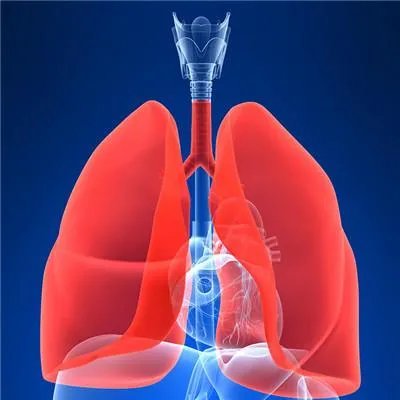 什么是肺癌生物治疗