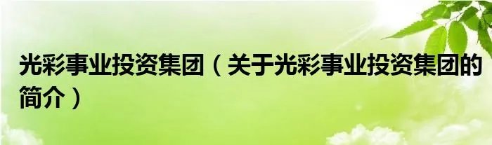 光彩事业投资集团（关于光彩事业投资集团的简介）