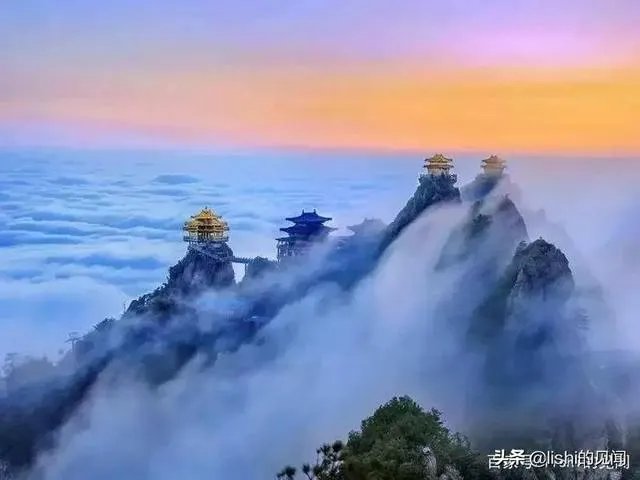 你觉得现在的综艺节目最大的看点在哪里？