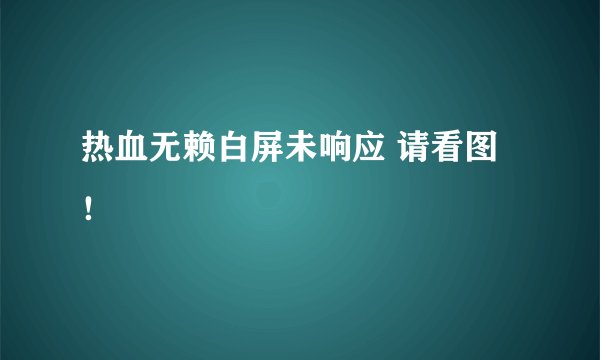 热血无赖白屏未响应 请看图 ！