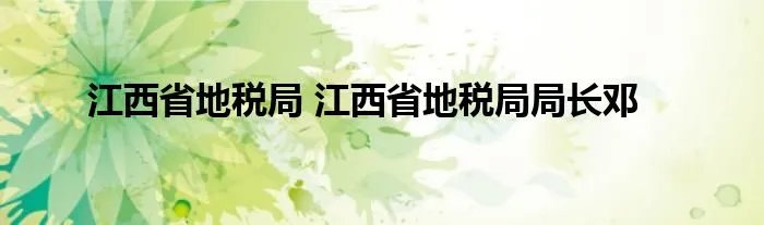 江西省地税局 江西省地税局局长邓