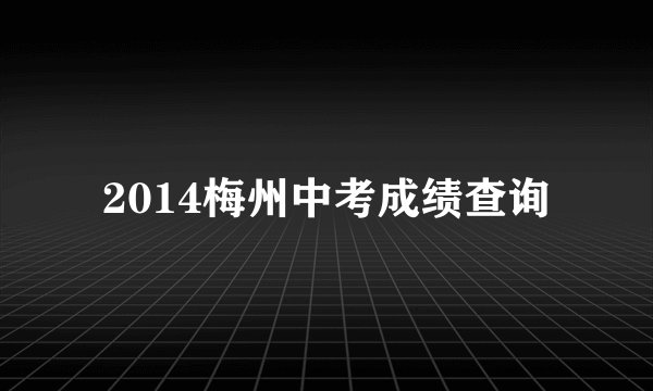2014梅州中考成绩查询