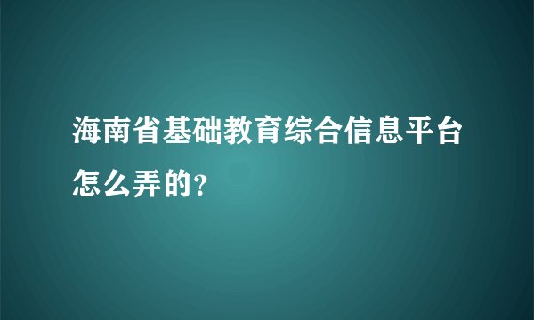 海南省基础教育综合信息平台怎么弄的？