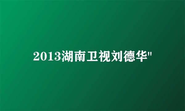 2013湖南卫视刘德华