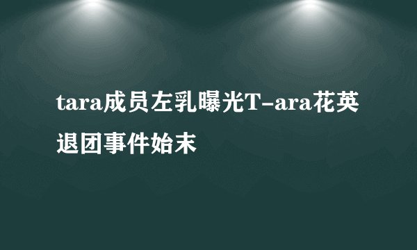 tara成员左乳曝光T-ara花英退团事件始末