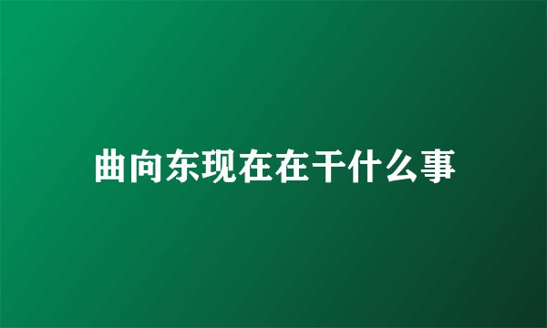 曲向东现在在干什么事