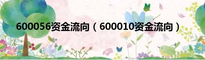 600056资金流向（600010资金流向）