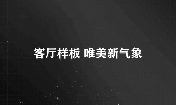 客厅样板 唯美新气象