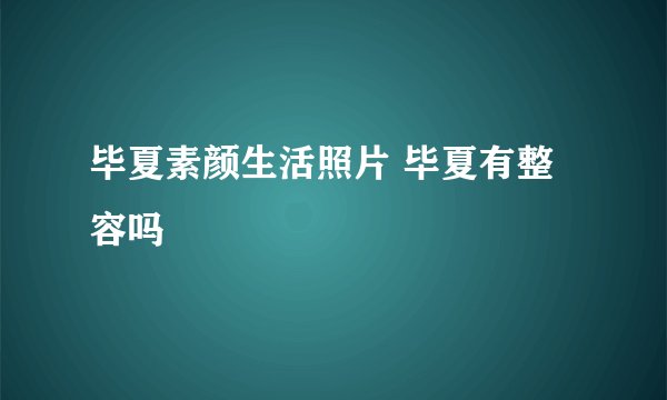毕夏素颜生活照片 毕夏有整容吗
