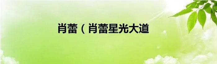 肖蕾（肖蕾星光大道