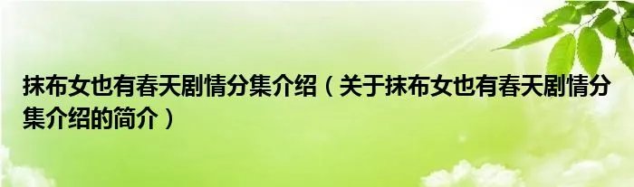 抹布女也有春天剧情分集介绍（关于抹布女也有春天剧情分集介绍的简介）
