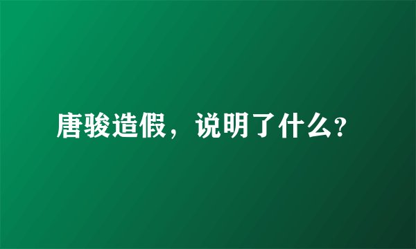 唐骏造假,说明了什么?