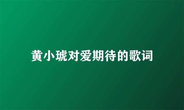 黄小琥对爱期待的歌词