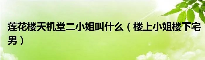 莲花楼天机堂二小姐叫什么（楼上小姐楼下宅男）