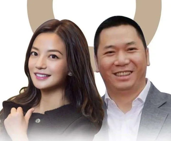 赵薇老公是谁:赵薇老公个人资料及工作