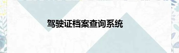 驾驶证档案查询系统